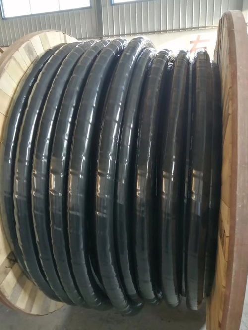 天联牌UTP 6六类网线 稳定高速传输的优选之道